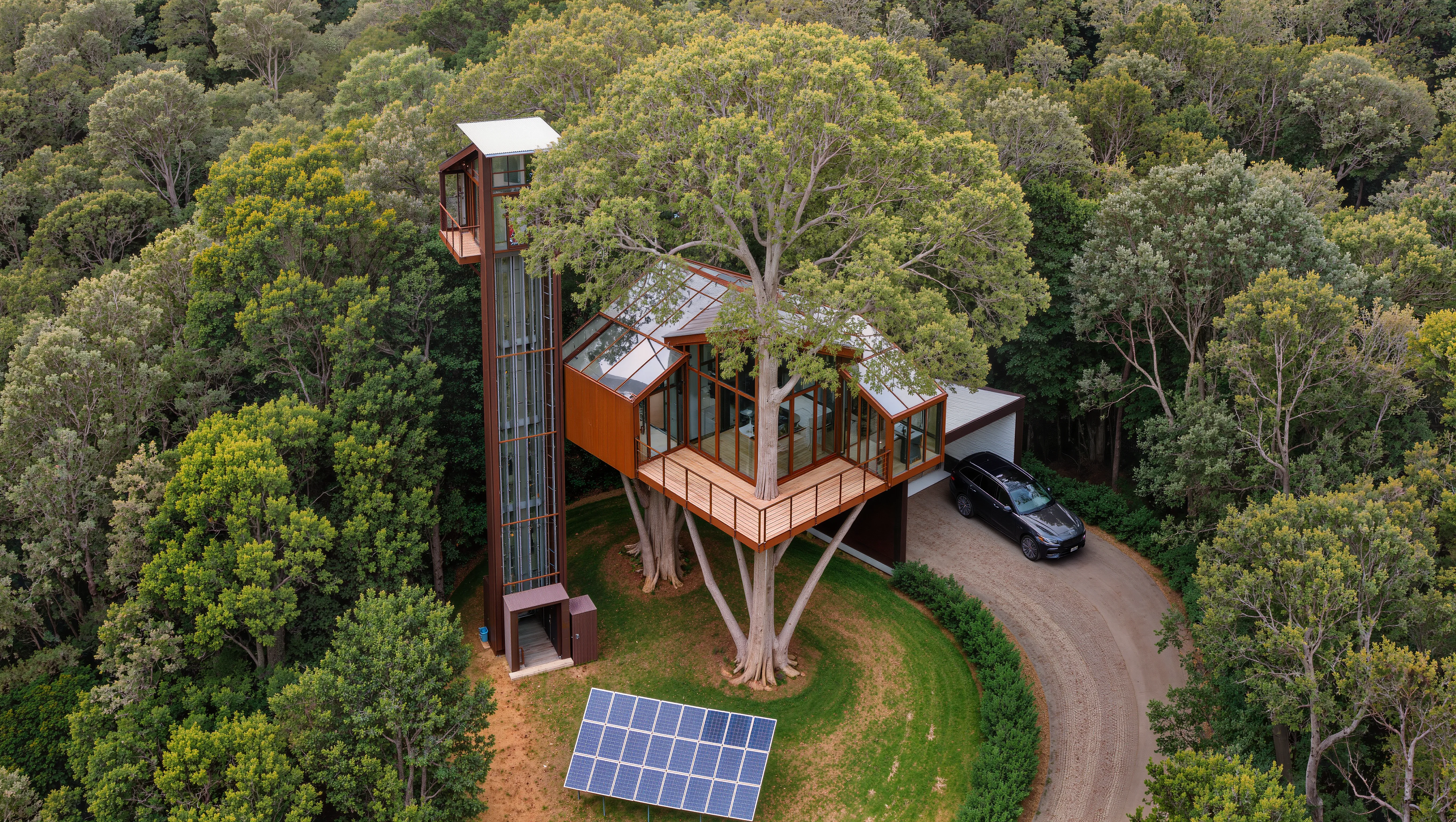 Heaven In The Trees